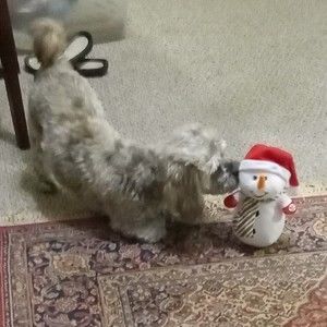 Meet your Posher, Carolyn